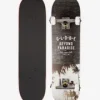 Globe Varsity 8″ Komplettboard (hawaii) 7